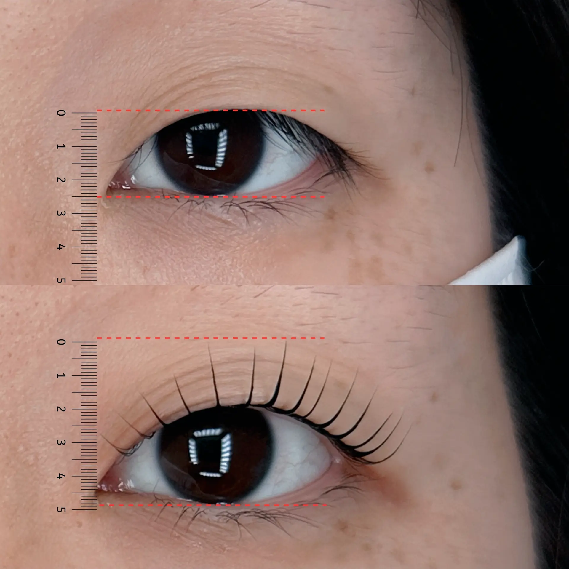 NuNu Argentina lash lift — 7